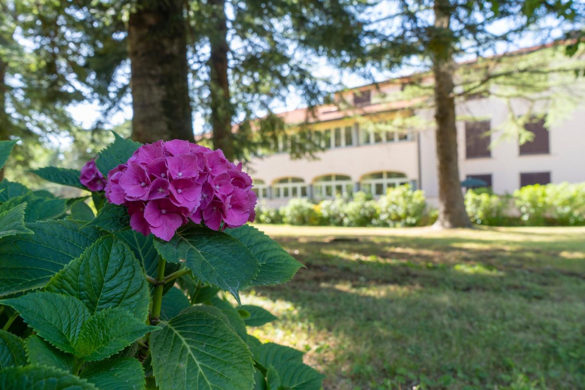 Toscana Wellness Resort Arcidosso Exterior foto